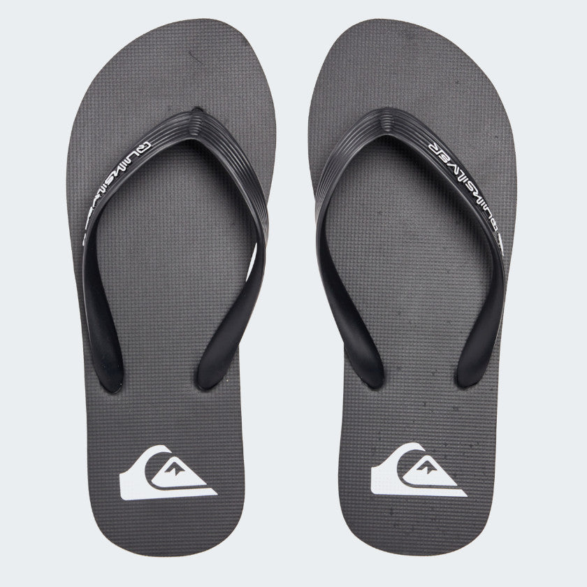 Quicksilver Mens Molokai Core - AQYL101325-KVJ1