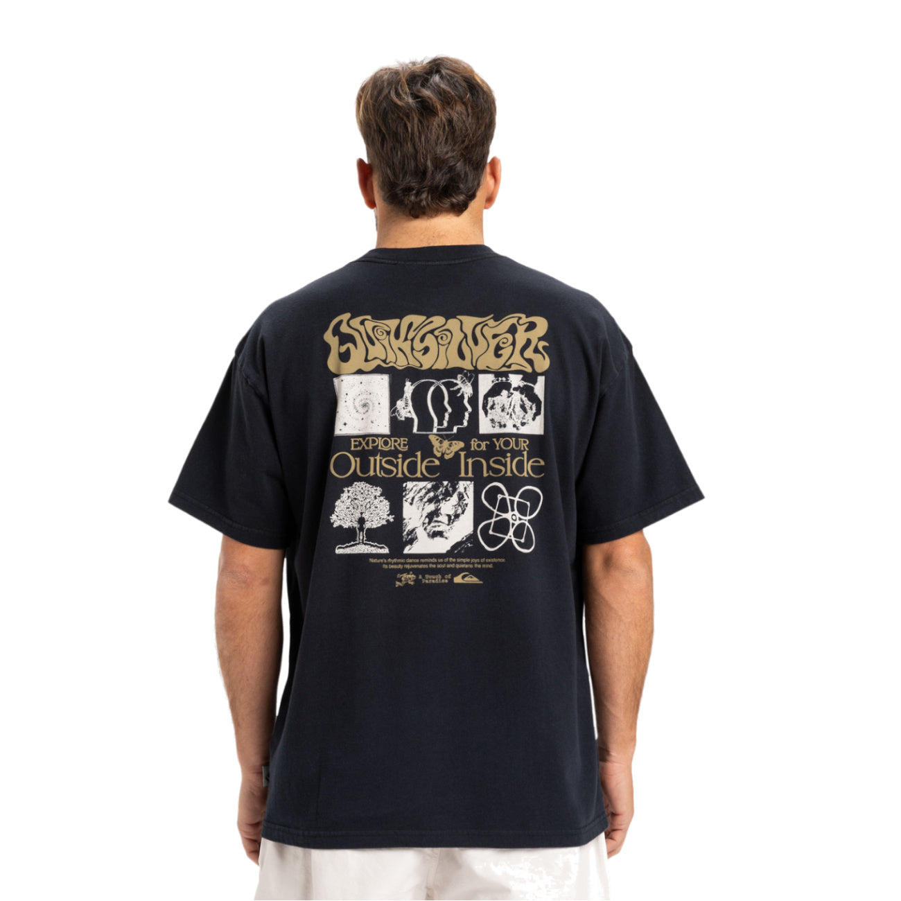 Quicksilver Outside Inside T-shirt - EQYZT08032-KVJ0