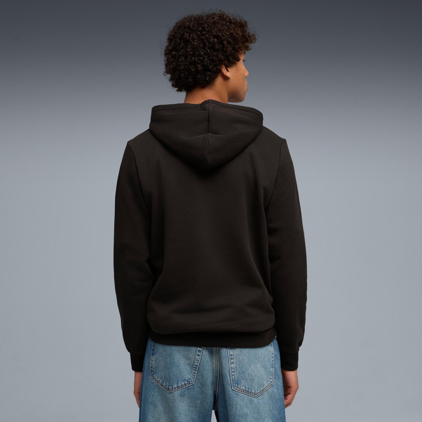 Puma Hooded Sweatshirt Essential Logo Holiday Lab FL - 688190-01