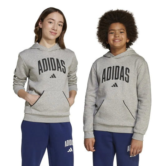 Adidas Seasonals Ess Collegiate Typography - JV7336