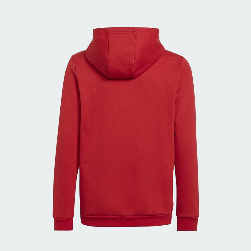 Adidas Entrada Hooded Fleece Junior - H57566