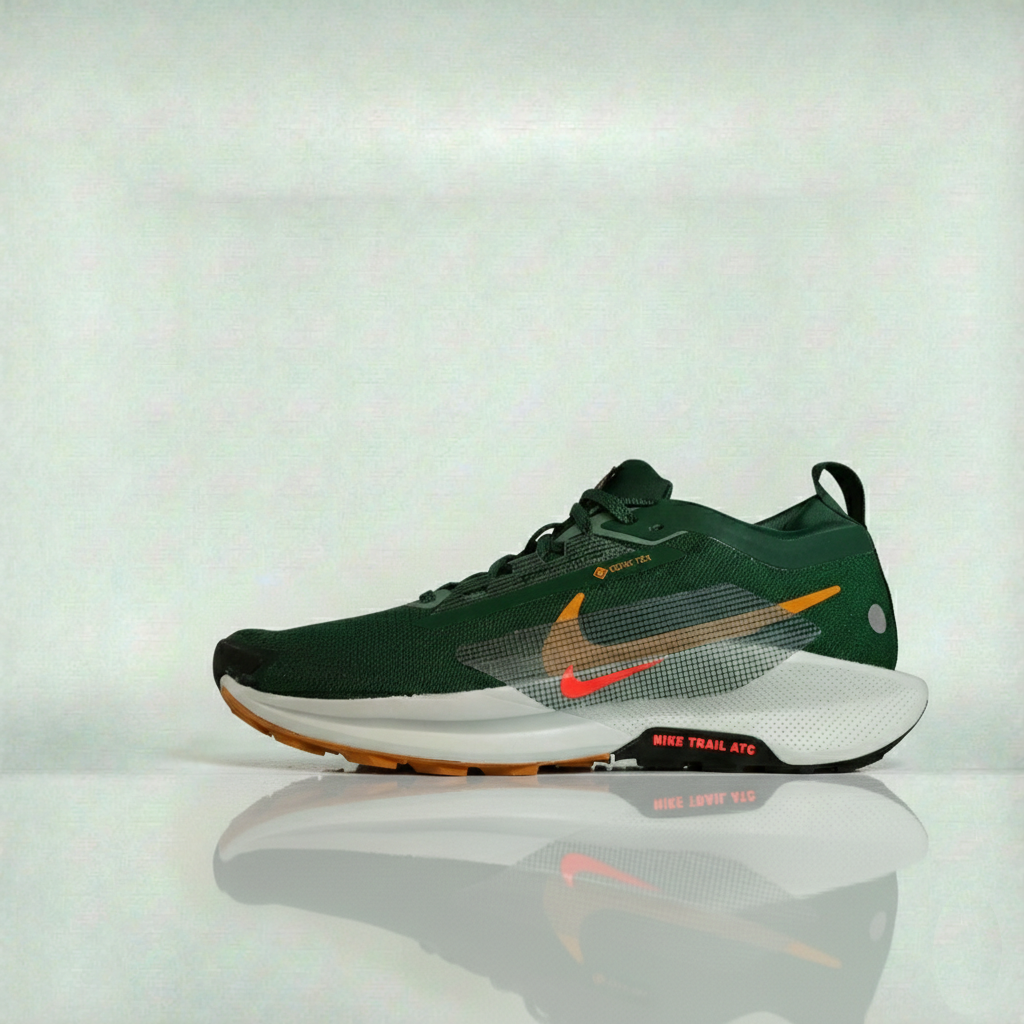 Nike Pegasus Trail 5 - FQ0908-301