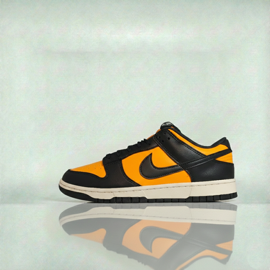 Nike Dunk Low - HF5441-700