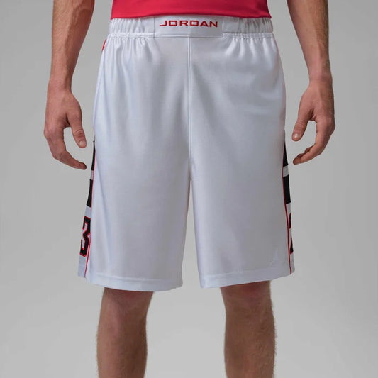 Nike Jordan Brooklyn Cat Scratch Men's Shorts - HV0560-100