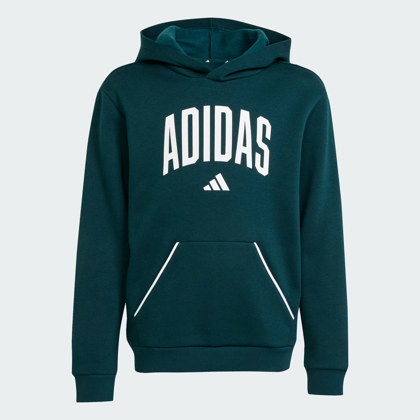 Adidas Essentials Collegiate Typography Hoodie Kids - JV7337