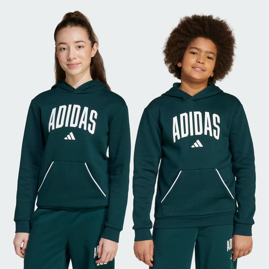 Adidas Essentials Collegiate Typography Hoodie Kids - JV7337