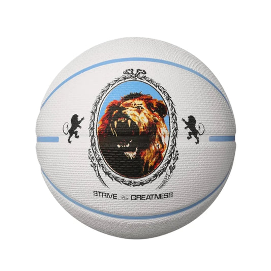 Nike Pallone Lebron Playground 8P 2.0 - N100437208607