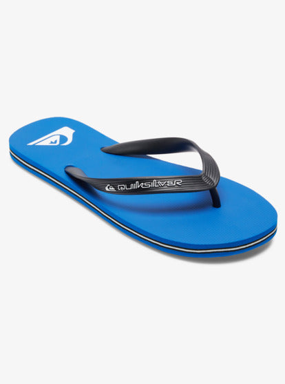 Quicksilver Mens Molokai Core - AQYL101325-GVJ1