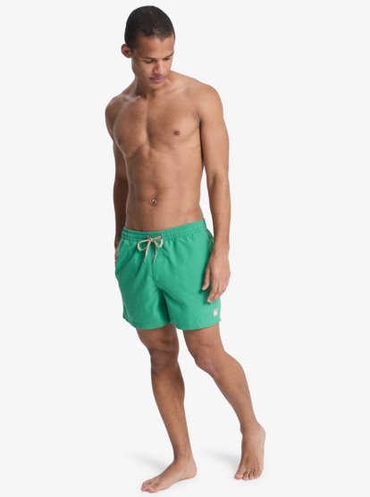 Quicksilver Everyday Solid Volley 15" - EQYJV04120-GNZ0
